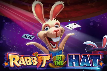 Rabbit In The Hat